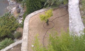 Jardines 04 Riego automatizado