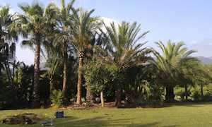 Jardines 11