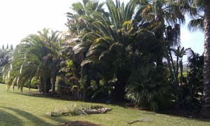Jardines 12