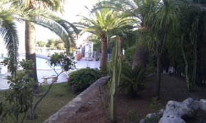 Jardines 14