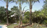Jardines 5new