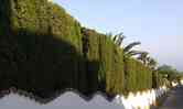 Jardines 6new