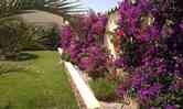 Jardines 9new