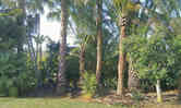 Jardines 10new