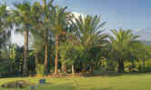 Jardines 11new